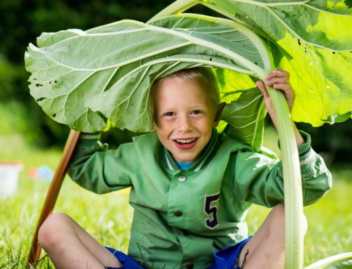 Inspiratiebijeenkomst 11 september Jong-Leren-Eten en Boerderij-Educatie Limburg